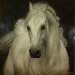 portret zwierząt - koń, suche pastele