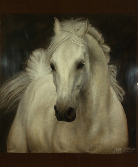 portret zwierząt - koń, suche pastele