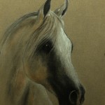 portret zwierząt - koń, suche pastele