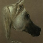 portret zwierząt - koń, suche pastele