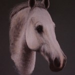 portret zwierząt - koń, suche pastele